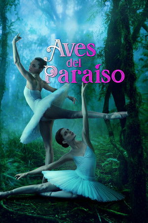 Paradicsommadarak poszter