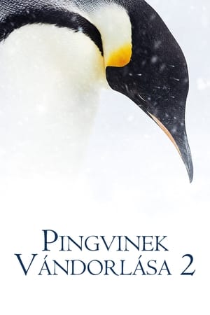 Pingvinek vándorlása 2.