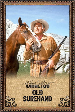 Winnetou bosszúja poszter