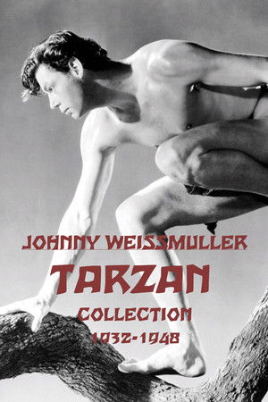 Tarzan (Johnny Weissmuller) filmek