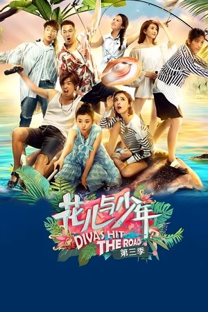 花儿与少年
