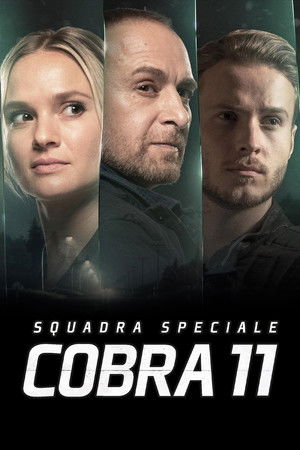 Cobra 11 poszter