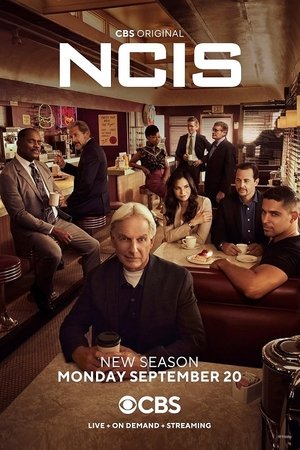 NCIS: Tengerészeti helyszínelők poszter