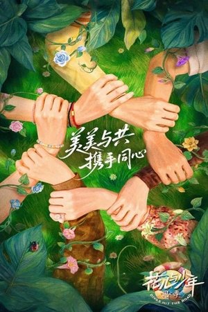 花儿与少年 poszter
