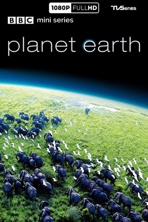 Bolygónk, a Föld poszter
