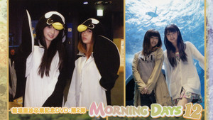 Morning Days 12 ~Niigaki Risa & Michishige Sayumi in Yamaguchi~ háttérkép