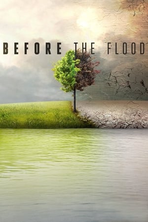 Özönvíz előtt poszter