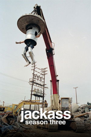 Jackass
