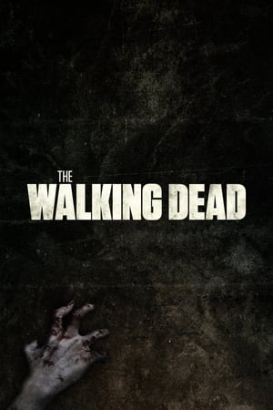 The Walking Dead poszter