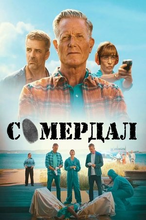 Sommerdahl bűntények poszter