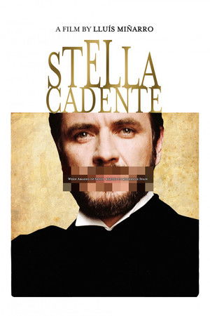 Stella cadente poszter