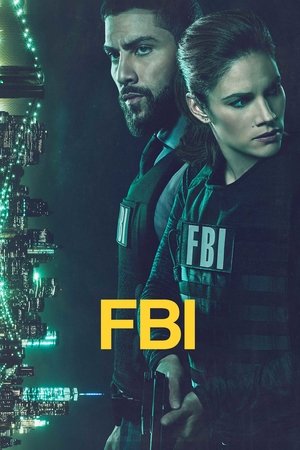 FBI: New York különleges ügynökei poszter
