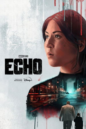 Echo poszter