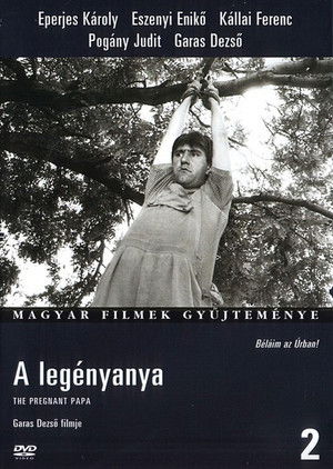 A legényanya poszter
