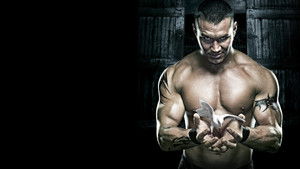 WWE No Mercy 2007 háttérkép