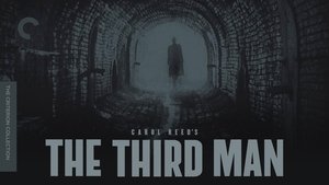 The Third Man kép