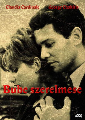 Bube szerelmese
