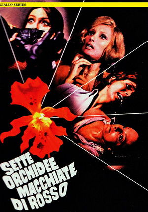 Hét vérfoltos orchidea poszter