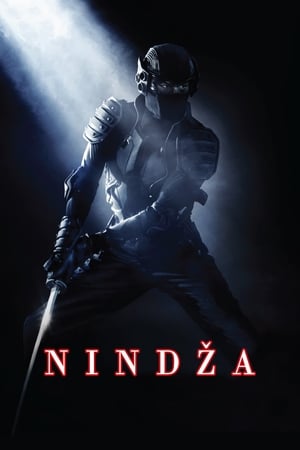 Nindzsa poszter