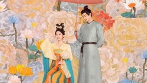 韶华若锦 kép