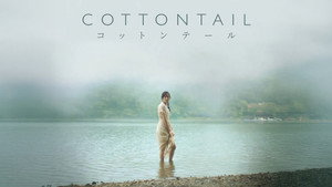 Cottontail háttérkép