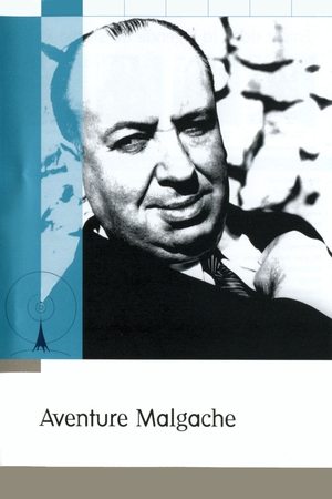 Madagaszkári kaland poszter