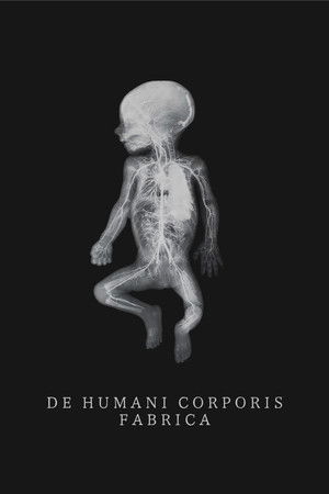 De humani corporis fabrica poszter