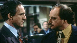 Hill Street Blues kép