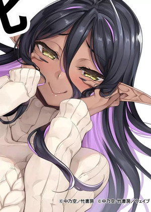 ちょっとだけ愛が重いダークエルフが異世界から追いかけてきた poszter