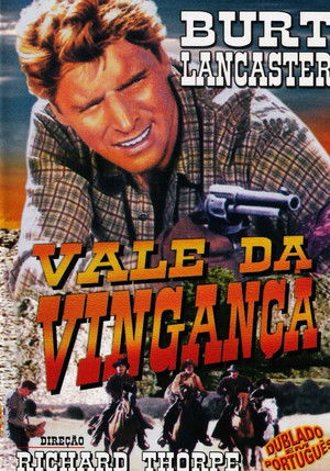 A bosszú völgye poszter