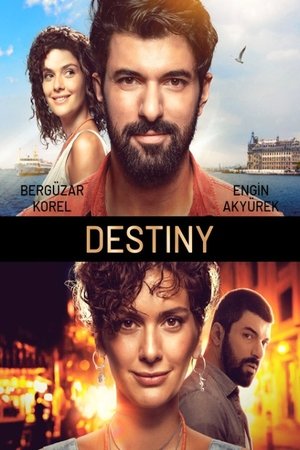 Destiny poszter
