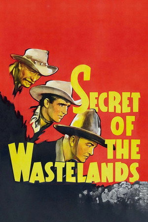 Secret of the Wastelands poszter
