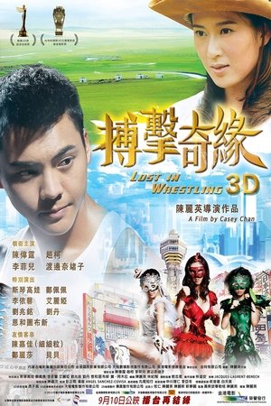 搏擊奇緣 poszter