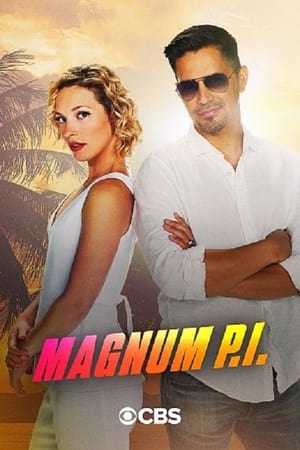 Magnum P.I. poszter