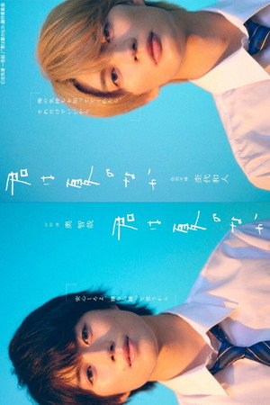 君は夏のなか poszter