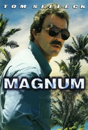 Magnum poszter