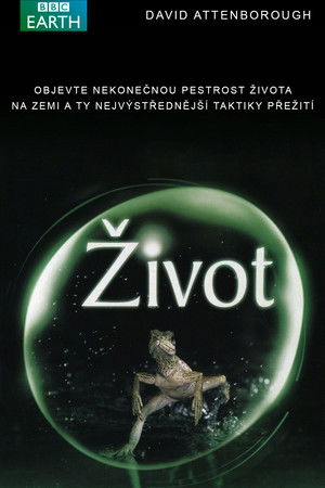 Az Élet poszter