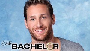 The Bachelor kép