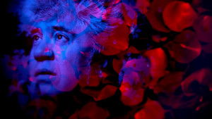 Almodóvar, todo sobre ellas háttérkép