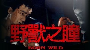 Born Wild háttérkép