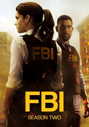 FBI: New York különleges ügynökei poszter