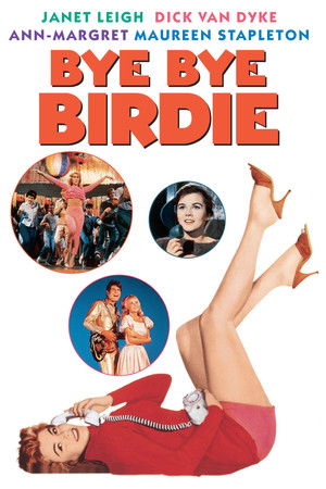 Bye Bye Birdie poszter