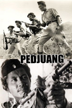 Pedjuang poszter
