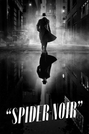 A Pók: Noir poszter