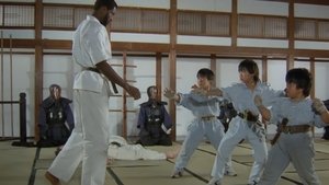 The Kung Fu Kids háttérkép