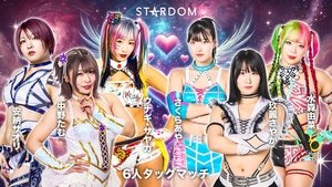 STARDOM DREAM in ANJO〜中野たむ凱旋〜 háttérkép