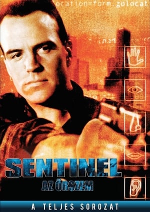 Sentinel - Az őrszem