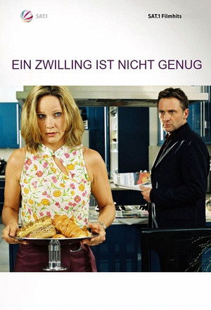 Ein Zwilling ist nicht genug poszter