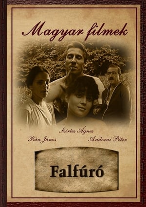 Falfúró poszter