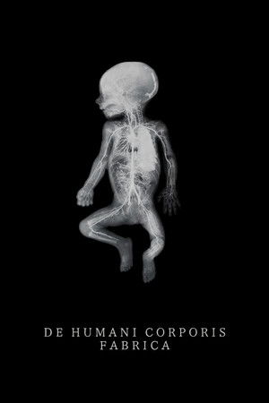 De humani corporis fabrica poszter